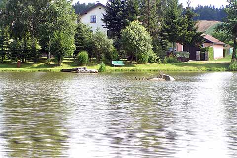 Dorfteich