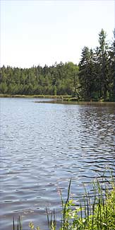 Gemeindeteich Heidenreichstein