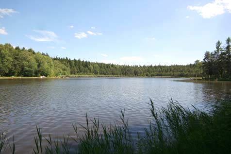 Gemeindeteich Heidenreichstein Waldviertel