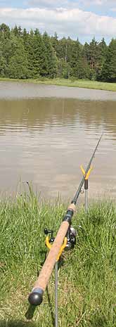 UitzTeich Eberweis Angeln Fischen Heidenreichstein Waldviertel