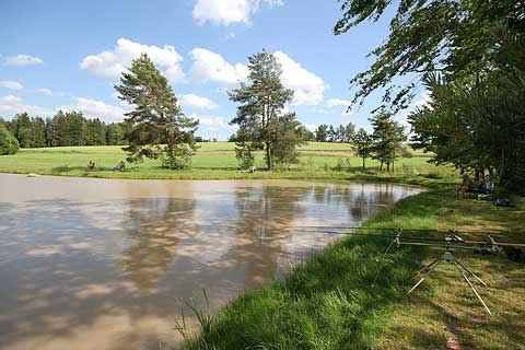 UitzTeich Eberweis Angeln Fischen Heidenreichstein Waldviertel