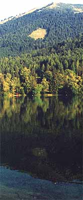 Erlaufsee