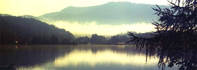 Morgenstimmung am erlaufsee