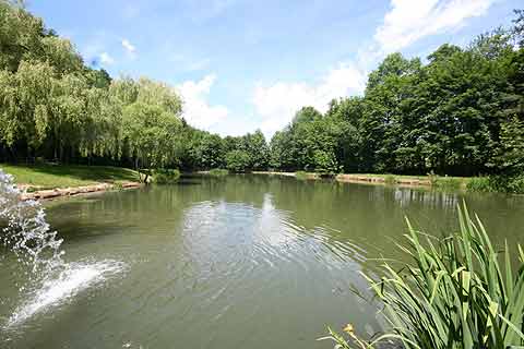Angelteich Forellenhof Böck Angeln Fischen Wienerwald Wien Niederösterreich