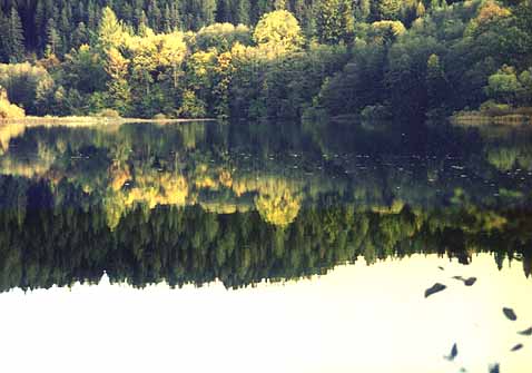 Erlaufstausee