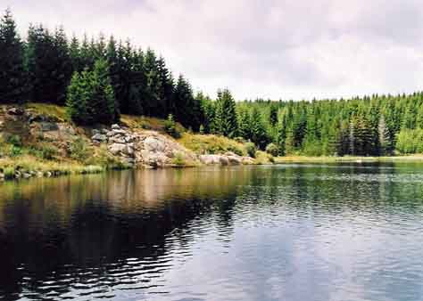 Sommer am Hubertusteich