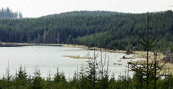 Hubertusteich