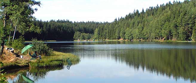 Weyrerteich Detail Fischen Angeln Waldviertel Niederösterreich