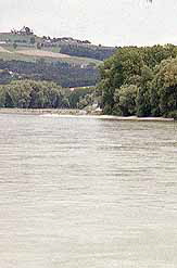 Donau bei Ardagger (Berz. Amstetten)